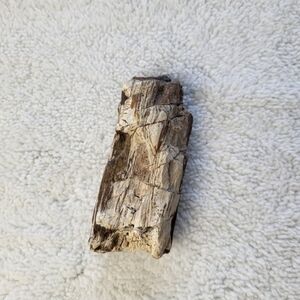 Raw Petrified Wood 7.3 OZ Measures 4 Inchesby 1.5 Inches by 1 Inch